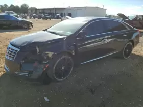 116-03358R CADILLAC Passenger Right Corner Light Marker Xts