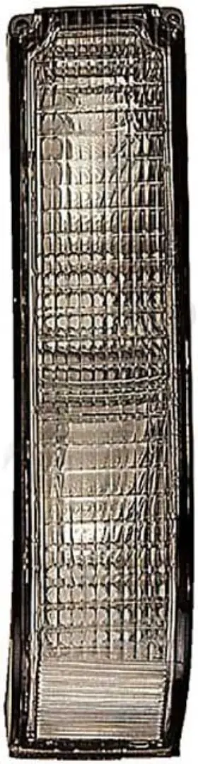 1630008 DORMAN Parking Turn Signal Lamp
