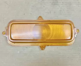5954176 GENERAL MOTORS Turn Signal Light Parking Lamp Lens
