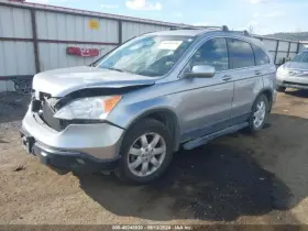 116-50225L HONDA Driver Corner Light Fog Driving Bumper Park #3