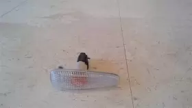 116-50238 MITSUBISHI Passenger Right Front Fender Marker