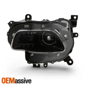 CH2502249 OEMASSIVE Halogen Projector Headlight Driver Left #2