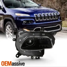 CH2503249 OEMASSIVE Halogen Projector Headlight Passenger