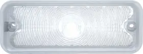 CX1967 OER AUTHORIZED Lamp Lens Body Moldings Rh Chevrolet