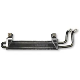 24-13299 OMEGA ENVIRONMENTAL TECHNOLOGIES Power Steering