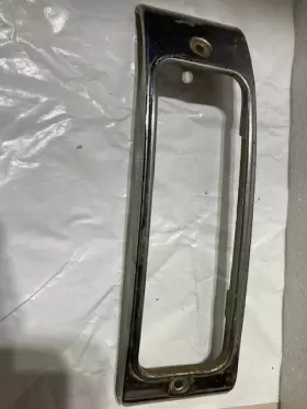 5942183 PONTIAC Driver Light Bezel Park