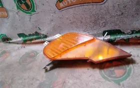 116-59748L PORSCHE Driver Corner Light Marker Cayenne Park