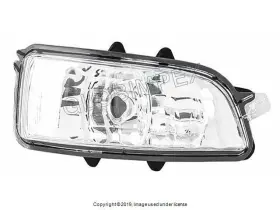 31111102 PRO PARTS Door Mirror Turn Signal Light Lens C30