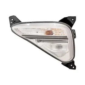 ID0038AA0051R00 KIA Rear Passenger Turn Signal Light Standard