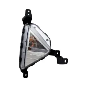 ID0038AA0073C00 HYUNDAI Turn Signal Light Passenger Capa