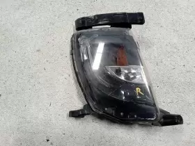 116.TS1S14 TESLA Passenger Corner Light Park