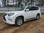 Passenger Corner/park Light Park Lamp-turn Signal Fits 14-23 Lexus Gx460. Fixed Price $115.00.