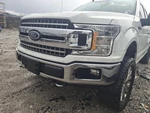 2019 Ford F150 Left Driver Fog Light Assembly Oem Used 116-03605bl. Fixed Price $93.29.