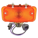 For Chevy Chevelle 68 Turn Signal/parking Light Driver Or Passenger Side. Fixed Price $91.96.