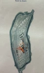 Nib Depo 312-1655r-as Front Right Turn Signal Light For 2015 2017 Toyota Camry. Fixed Price $20.00.