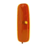 For Gmc Savana 1500 96-02 Driver Side Replacement Turn Signal/corner Light. Fixed Price $20.77.