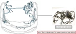 Engine Room Harness Oem 2005 Chevrolet Silvrdo35. Fixed Price $200.00.