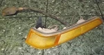 86-89 Oem Us Acura Integra 041-1352 Fender Driver Corner / Signal Light Lens Fl. Fixed Price $169.95.