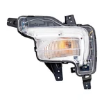 For Buick Enclave 2018-2021 Turn Signal Light Passenger Side Front Capa. Fixed Price $137.27.