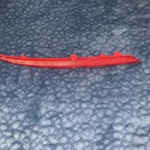 Mercedes Benz Rear Bumper Right Reflector A0998208800 Genuine (a15). Fixed Price $25.99.