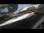 Passenger Corner/park Light Side Marker Fits 12-15 Bmw 640i. Fixed Price $41.00.
