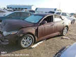 Burgundy W/cam W/lights Oem 16-18 Kia Optimakia. Fixed Price $225.00.