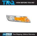 Trq Right Side Marker Light Passenger Fits Mercury Fo2551122. Fixed Price $37.95.