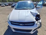 Used Turn Signal / Parking Light Assembly Fits: 2014 Ford Escape Park Lamp-turn. Fixed Price $87.50.